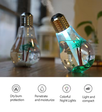 Colorful Lamp Humidifier